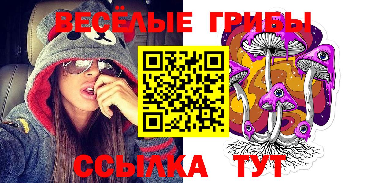 Галлюциногенные грибы MAGIC MUSHROOMS  закладки  Рославль  Вход с VPN 